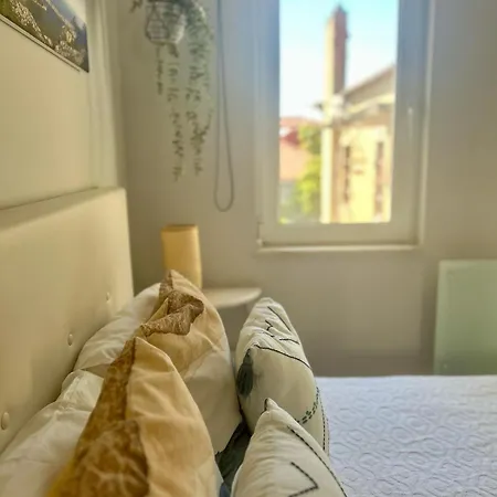 Apartment Polvo Parede