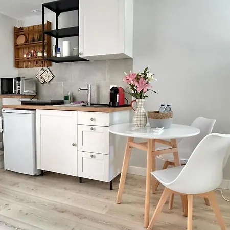 Polvo * Пареде