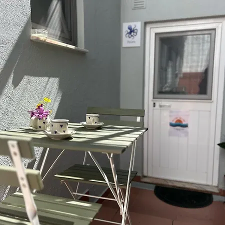 Апартаменты Polvo *