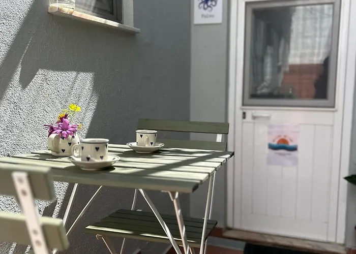 Apartament Polvo *