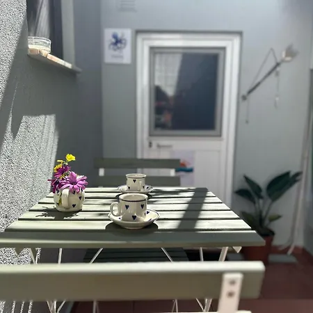 Apartment Polvo Parede